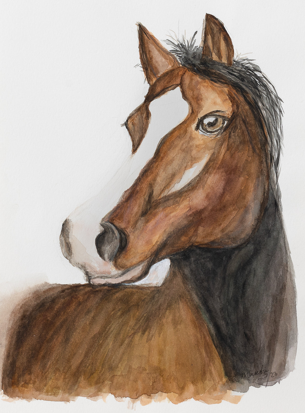 Brown Beauty watercolor print
